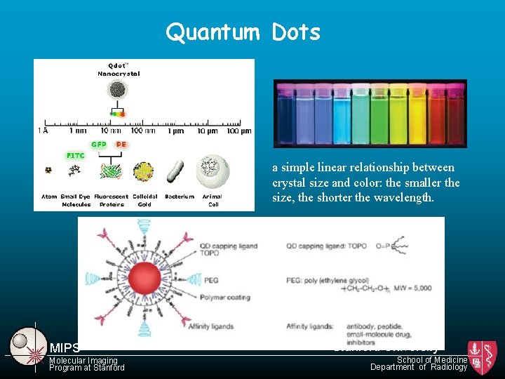 Quantum Dots a simple linear relationship between crystal size and color: the smaller the