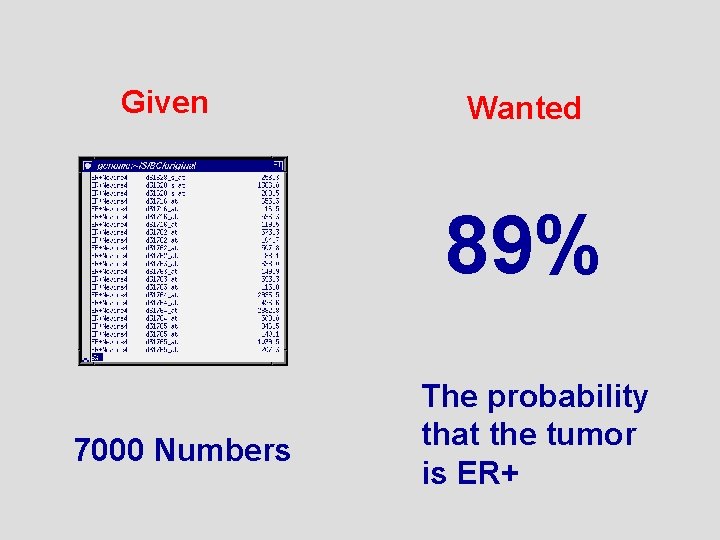 Given Wanted 89% 7000 Numbers The probability that the tumor is ER+ 