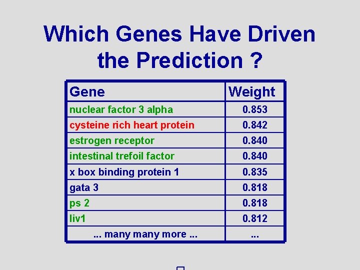 Which Genes Have Driven the Prediction ? Gene Weight nuclear factor 3 alpha 0.