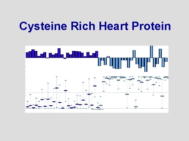 Cysteine Rich Heart Protein 