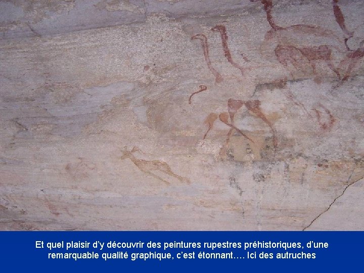 Et quel plaisir d’y découvrir des peintures rupestres préhistoriques, d’une remarquable qualité graphique, c’est