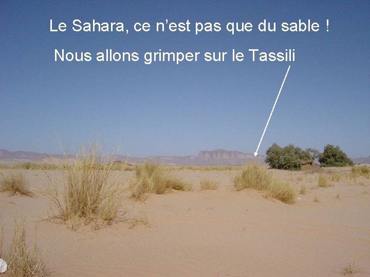 Le Sahara, ce n’est pas que du sable ! Nous allons grimper sur le