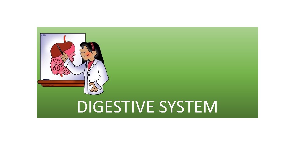DIGESTIVE SYSTEM 