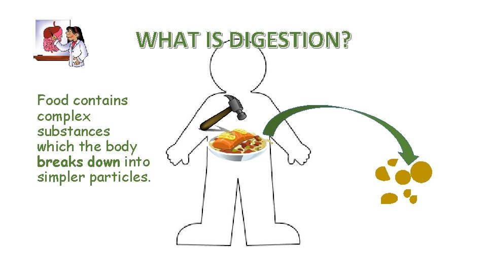 WHAT IS DIGESTION? Food contains complex substances which the body breaks down into simpler