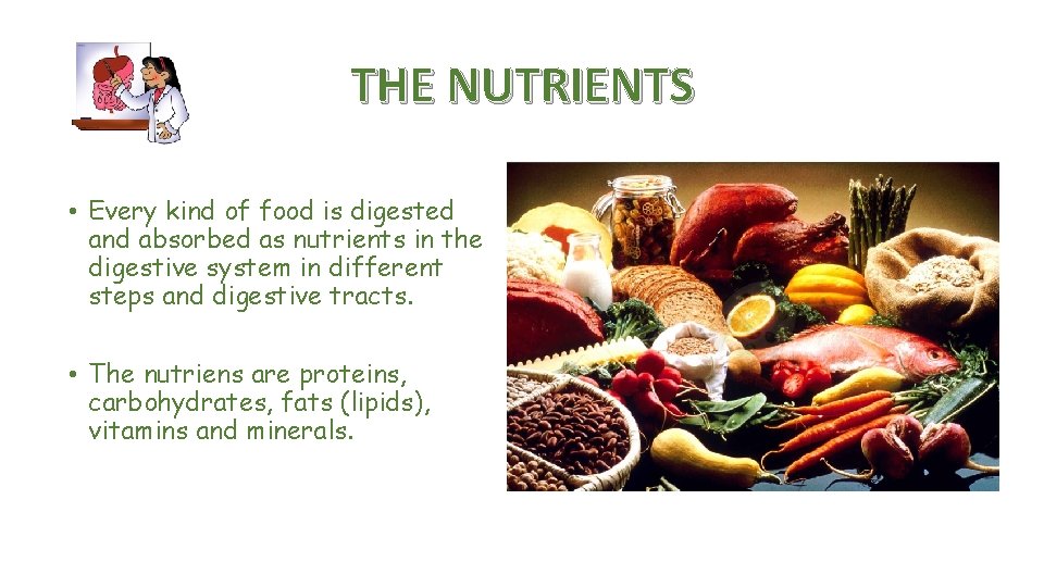 THE NUTRIENTS • Every kind of food is digested and absorbed as nutrients in