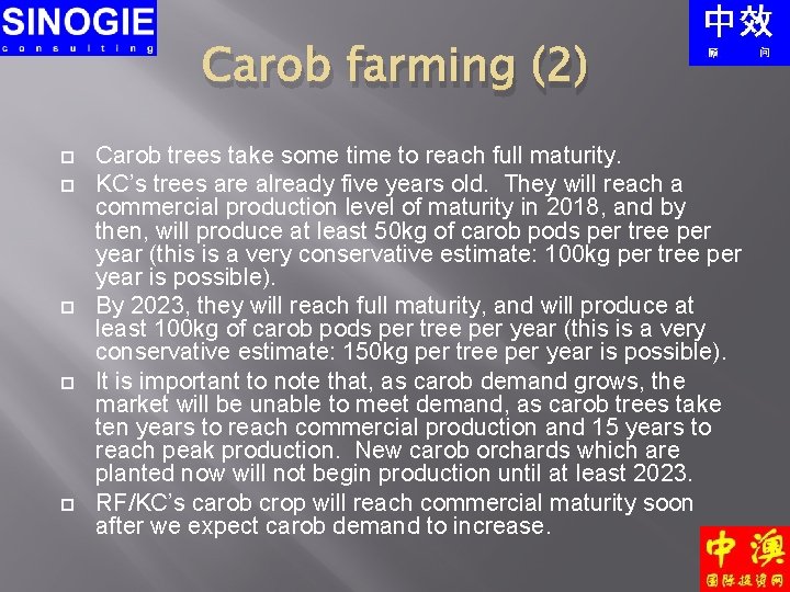 Carob farming (2) Carob trees take some time to reach full maturity. KC’s trees