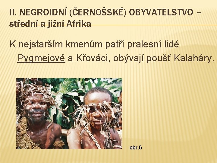 II. NEGROIDNÍ (ČERNOŠSKÉ) OBYVATELSTVO – střední a jižní Afrika K nejstarším kmenům patří pralesní