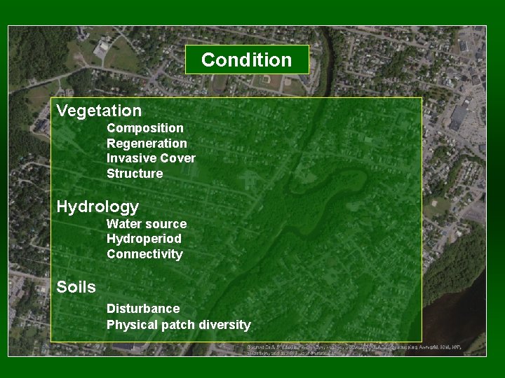 Condition Vegetation Composition Regeneration Invasive Cover Structure Hydrology Water source Hydroperiod Connectivity Soils Disturbance