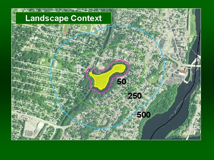 Landscape Context 50 250 500 