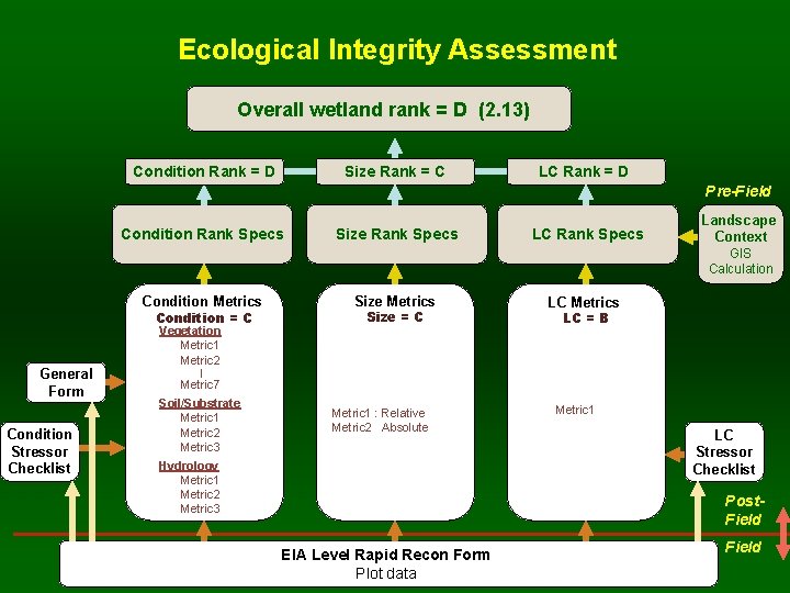 Ecological Integrity Assessment Overall wetland rank = D (2. 13) Condition Rank = D