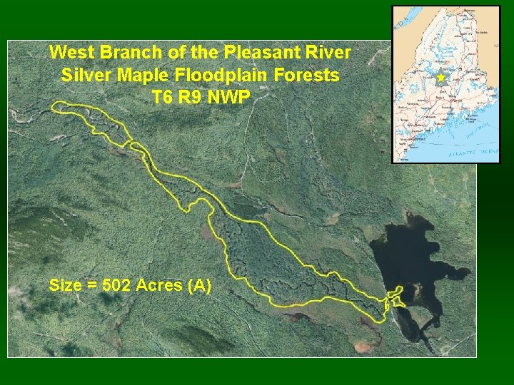 West Branch of the Pleasant River Silver Maple Floodplain Forests T 6 R 9