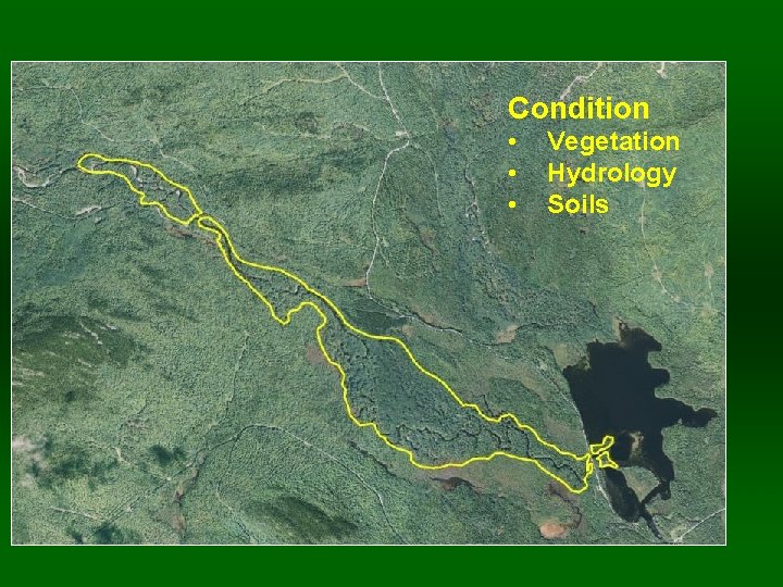 Condition • • • Vegetation Hydrology Soils 