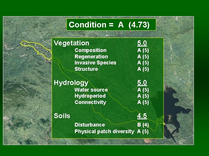Condition = A (4. 73) Vegetation Composition Regeneration Invasive Species Structure Hydrology Water source
