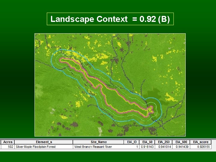 Landscape Context = 0. 92 (B) 