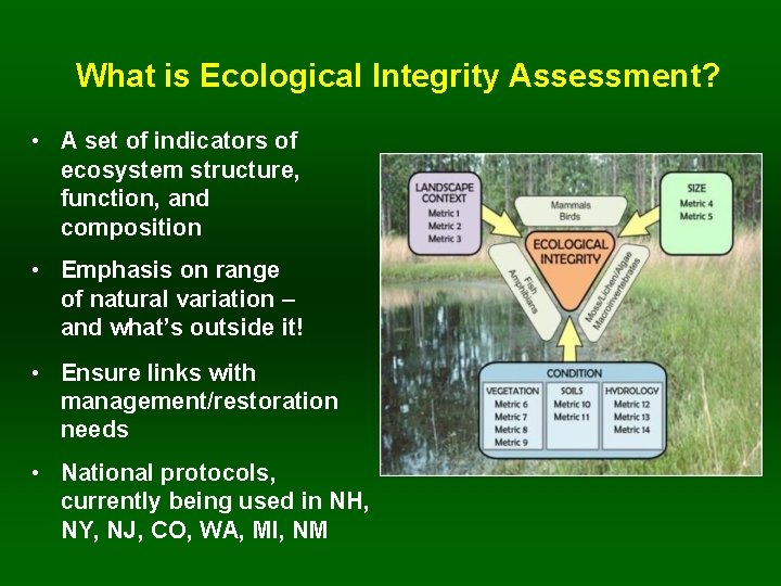 What is Ecological Integrity Assessment? • A set of indicators of ecosystem structure, function,