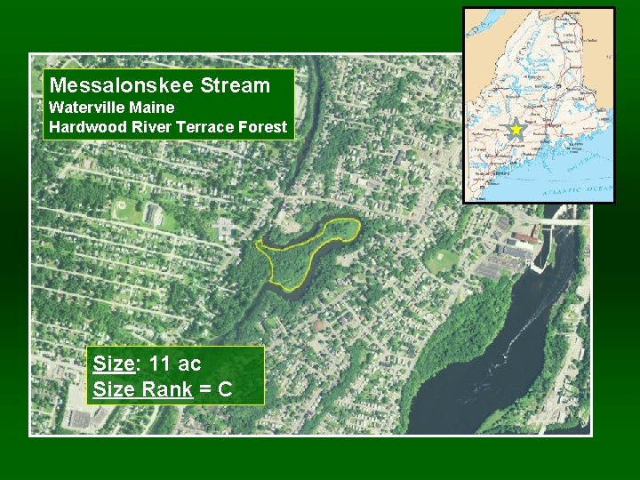 Messalonskee Stream Waterville Maine Hardwood River Terrace Forest Size: 11 ac Size Rank =