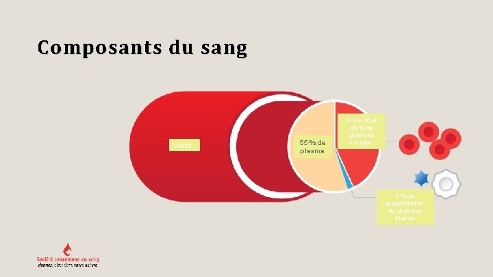 Composants du sang Veine 55 % de plasma Entre 40 et 45 % de