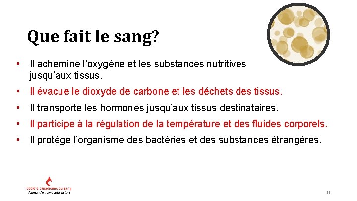 Que fait le sang? • Il achemine l’oxygène et les substances nutritives jusqu’aux tissus.