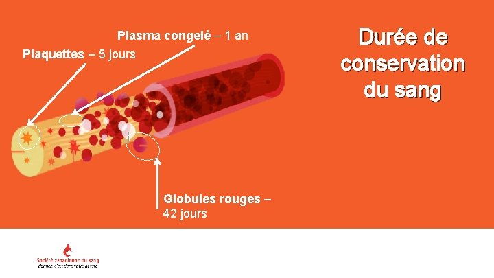 Plasma congelé 1 an Plaquettes – 5 jours Globules rouges – 42 jours Durée