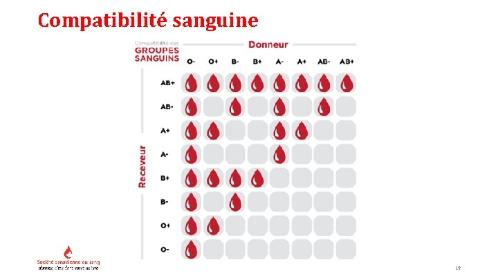 Compatibilité sanguine 19 