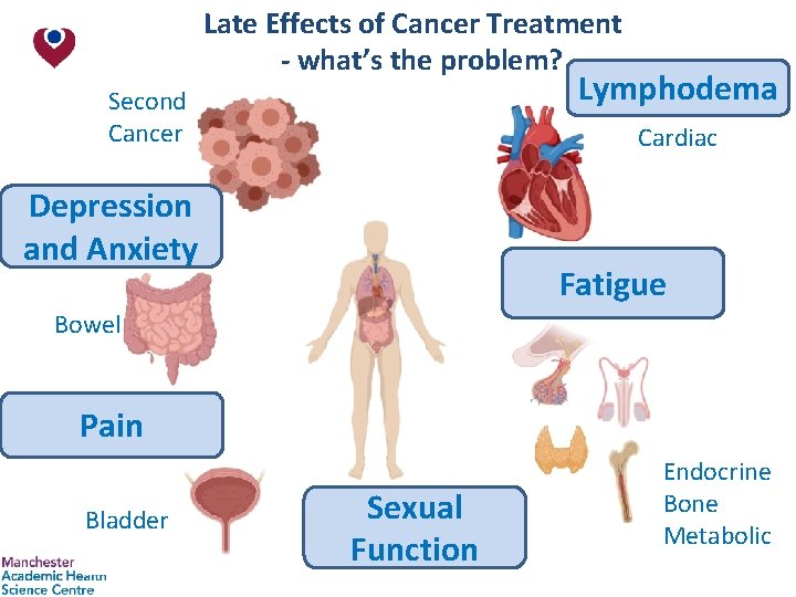 Late Effects of Cancer Treatment - what’s the problem? Lymphodema Second Cancer Cardiac Depression