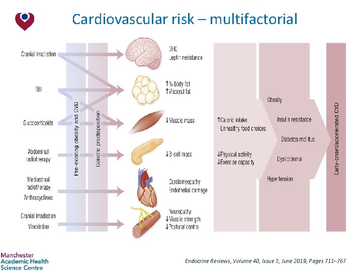 Cardiovascular risk – multifactorial Endocrine Reviews, Volume 40, Issue 3, June 2019, Pages 711–