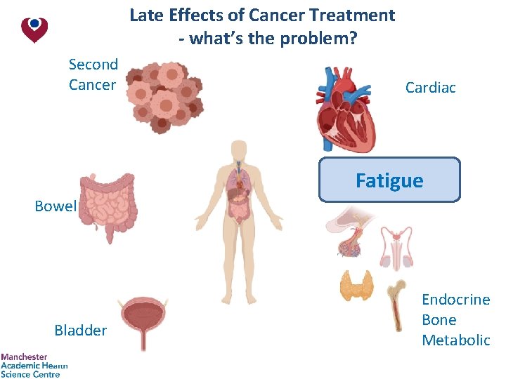 Late Effects of Cancer Treatment - what’s the problem? Second Cancer Cardiac Fatigue Bowel