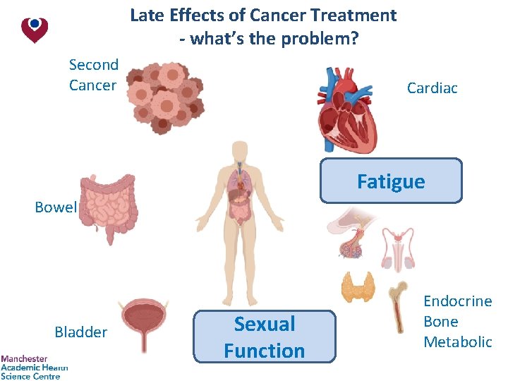 Late Effects of Cancer Treatment - what’s the problem? Second Cancer Cardiac Fatigue Bowel