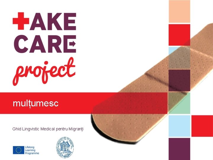 mulțumesc Ghid Lingvistic Medical pentru Migranți 