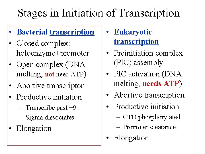 Stages in Initiation of Transcription • Bacterial transcription • Closed complex: holoenzyme+promoter • Open