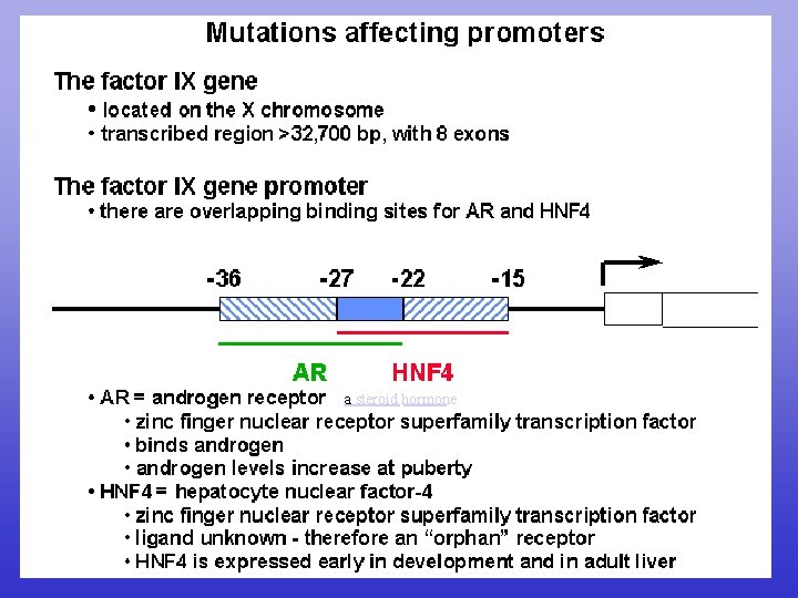 a steroid hormone 