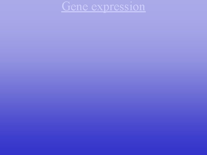 Gene expression 