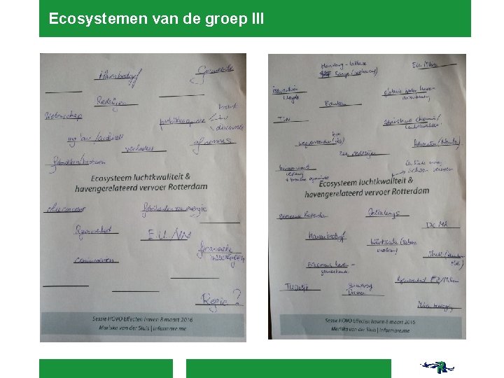 Ecosystemen van de groep III 