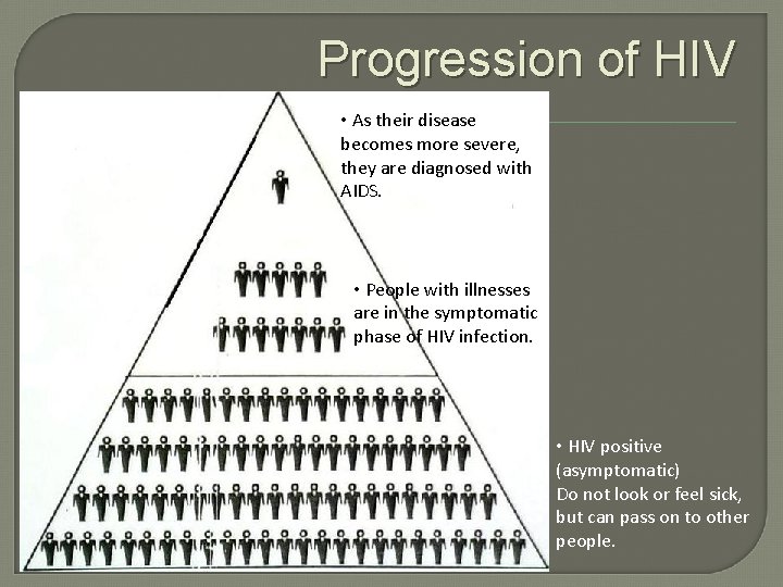 Progression of HIV • As their disease becomes more severe, they are diagnosed with