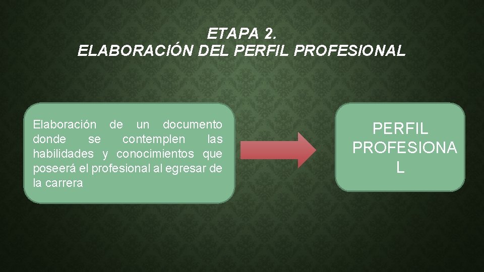 ETAPA 2. ELABORACIÓN DEL PERFIL PROFESIONAL Elaboración de un documento donde se contemplen las