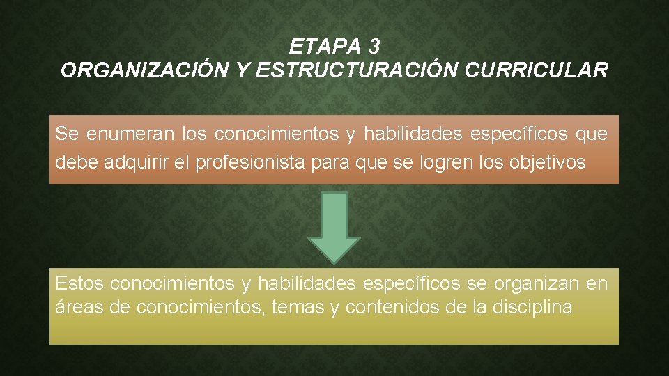 ETAPA 3 ORGANIZACIÓN Y ESTRUCTURACIÓN CURRICULAR Se enumeran los conocimientos y habilidades específicos que