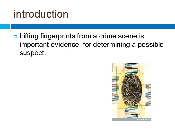 introduction Lifting fingerprints from a crime scene is important evidence for determining a possible