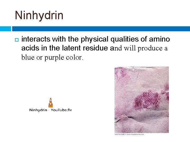 Ninhydrin interacts with the physical qualities of amino acids in the latent residue and