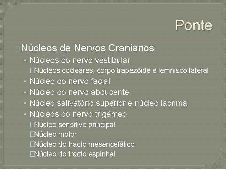 Ponte �Núcleos de Nervos Cranianos • Núcleos do nervo vestibular �Núcleos cocleares, corpo trapezóide