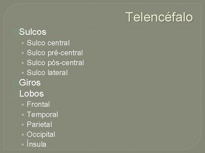 Telencéfalo �Sulcos • • Sulco central Sulco pré-central Sulco pós-central Sulco lateral �Giros �Lobos
