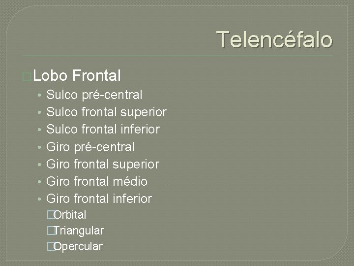 Telencéfalo �Lobo • • Frontal Sulco pré-central Sulco frontal superior Sulco frontal inferior Giro