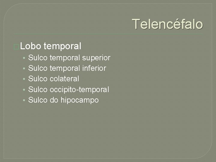 Telencéfalo �Lobo • • • temporal Sulco temporal superior Sulco temporal inferior Sulco colateral