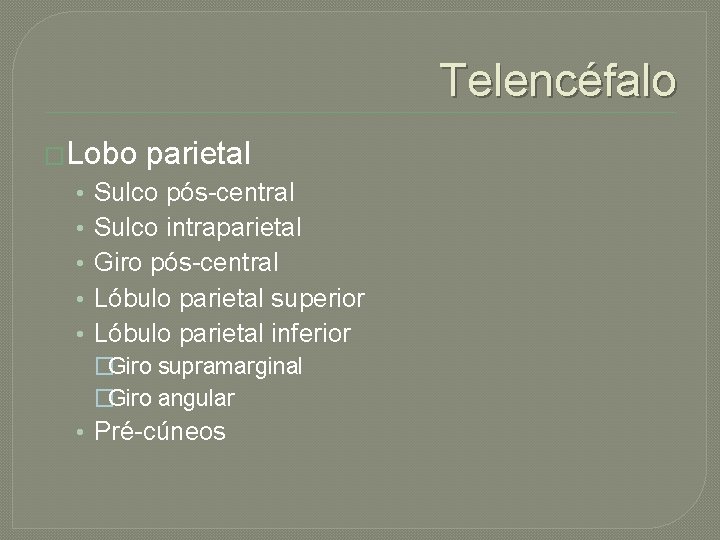 Telencéfalo �Lobo • • • parietal Sulco pós-central Sulco intraparietal Giro pós-central Lóbulo parietal