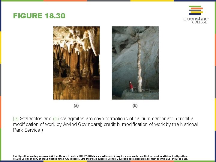 FIGURE 18. 30 (a) Stalactites and (b) stalagmites are cave formations of calcium carbonate.