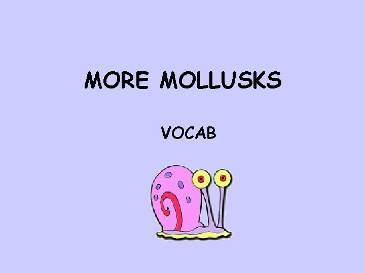 MORE MOLLUSKS VOCAB 