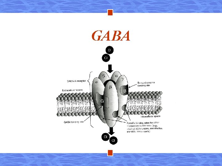 GABA 