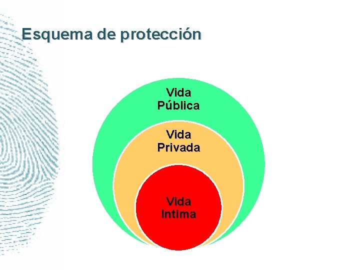 Esquema de protección Vida Pública Vida Privada Vida Intima 