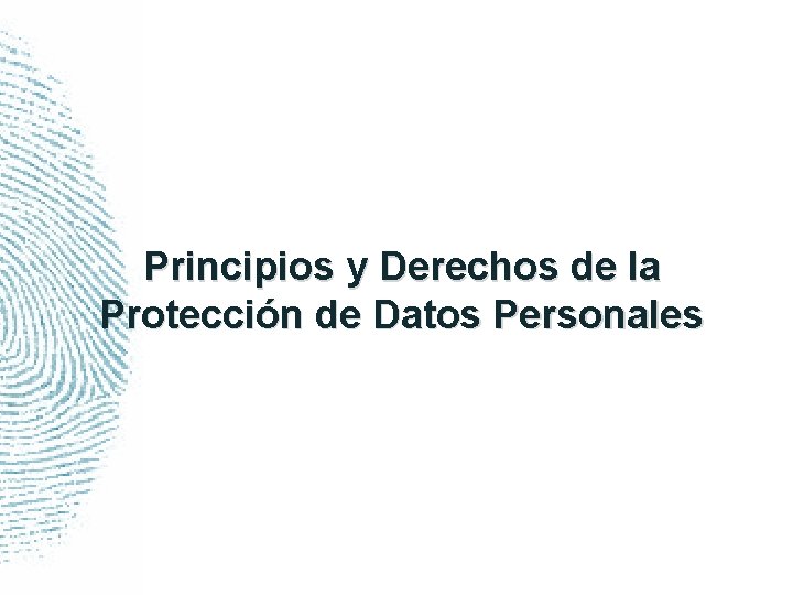 Principios y Derechos de la Protección de Datos Personales 