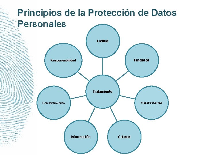 Principios de la Protección de Datos Personales Licitud Finalidad Responsabilidad Tratamiento Consentimiento Proporcionalidad Información