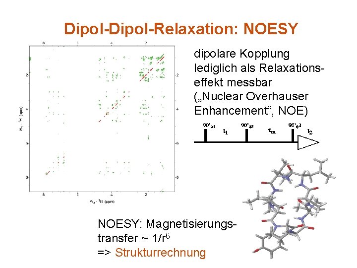 Dipol-Relaxation: NOESY dipolare Kopplung lediglich als Relaxationseffekt messbar („Nuclear Overhauser Enhancement“, NOE) NOESY: Magnetisierungstransfer